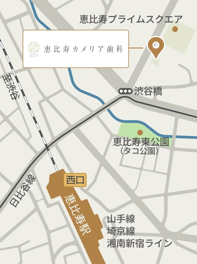 恵比寿カメリア歯科のアクセスマップ（JR山手線恵比寿駅西口より徒歩5分）